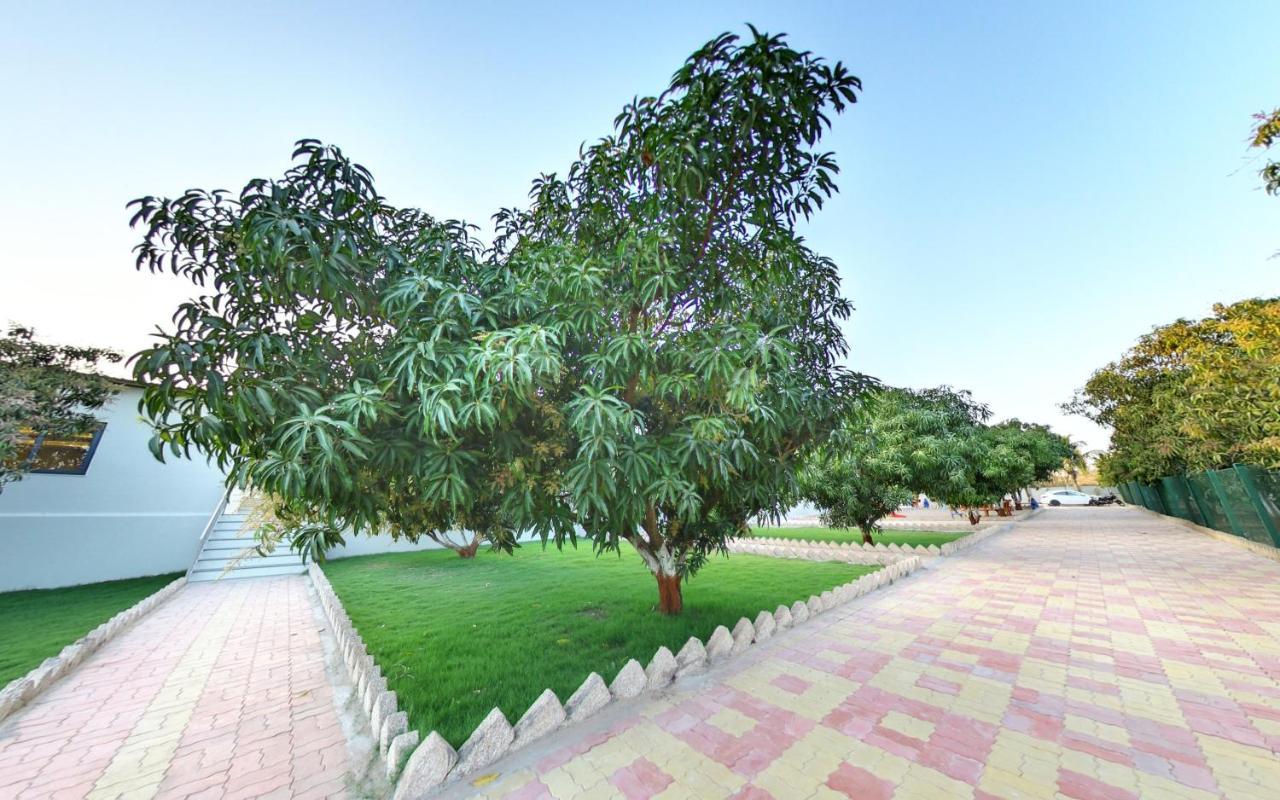 Anantam Resort غابة غير المظهر الخارجي الصورة